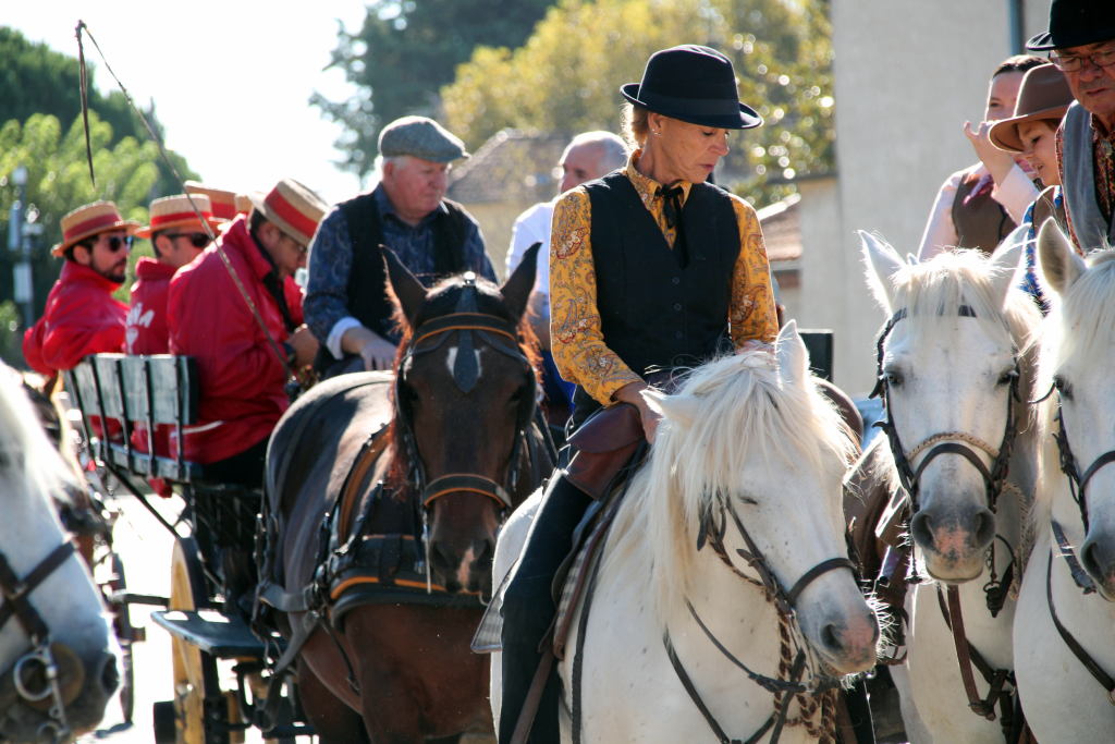 Chevaux Corso de la Charrette St Michel Cabannes 2024 - Cavaliers